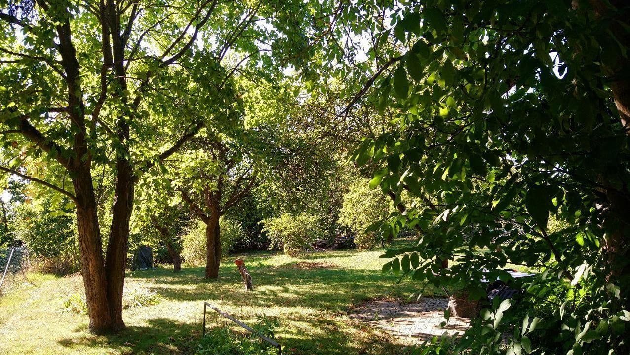 Prodej domu 120 m², pozemek 2.000 m², Zeulenroda-Triebes, Durynsko Prodej domu 120 m², pozemek 2.000 m², Zeulenroda-Triebes, Durynsko