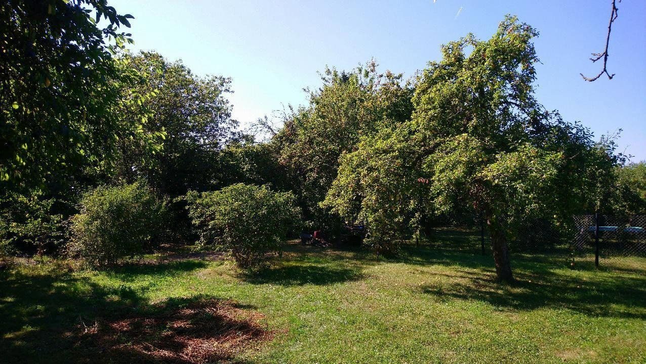 Prodej domu 120 m², pozemek 2.000 m², Zeulenroda-Triebes, Durynsko Prodej domu 120 m², pozemek 2.000 m², Zeulenroda-Triebes, Durynsko