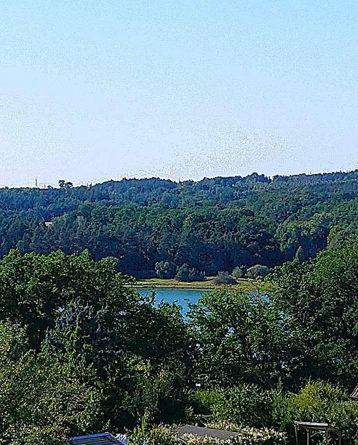 Prodej domu 120 m², pozemek 2.000 m², Zeulenroda-Triebes, Durynsko Prodej domu 120 m², pozemek 2.000 m², Zeulenroda-Triebes, Durynsko