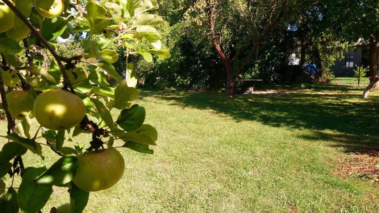 Prodej domu 120 m², pozemek 2.000 m², Zeulenroda-Triebes, Durynsko Prodej domu 120 m², pozemek 2.000 m², Zeulenroda-Triebes, Durynsko