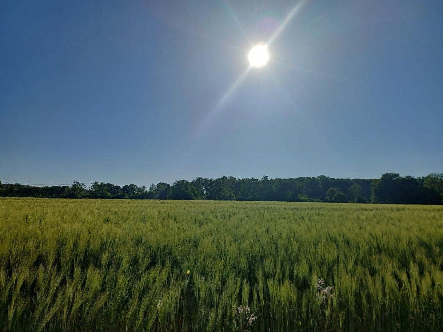 Prodej domu 390 m², pozemek 40.000 m², Münster Wolbeck, Severní Porýní-Vestfálsko Prodej domu 390 m², pozemek 40.000 m², Münster Wolbeck, Severní Porýní-Vestfálsko