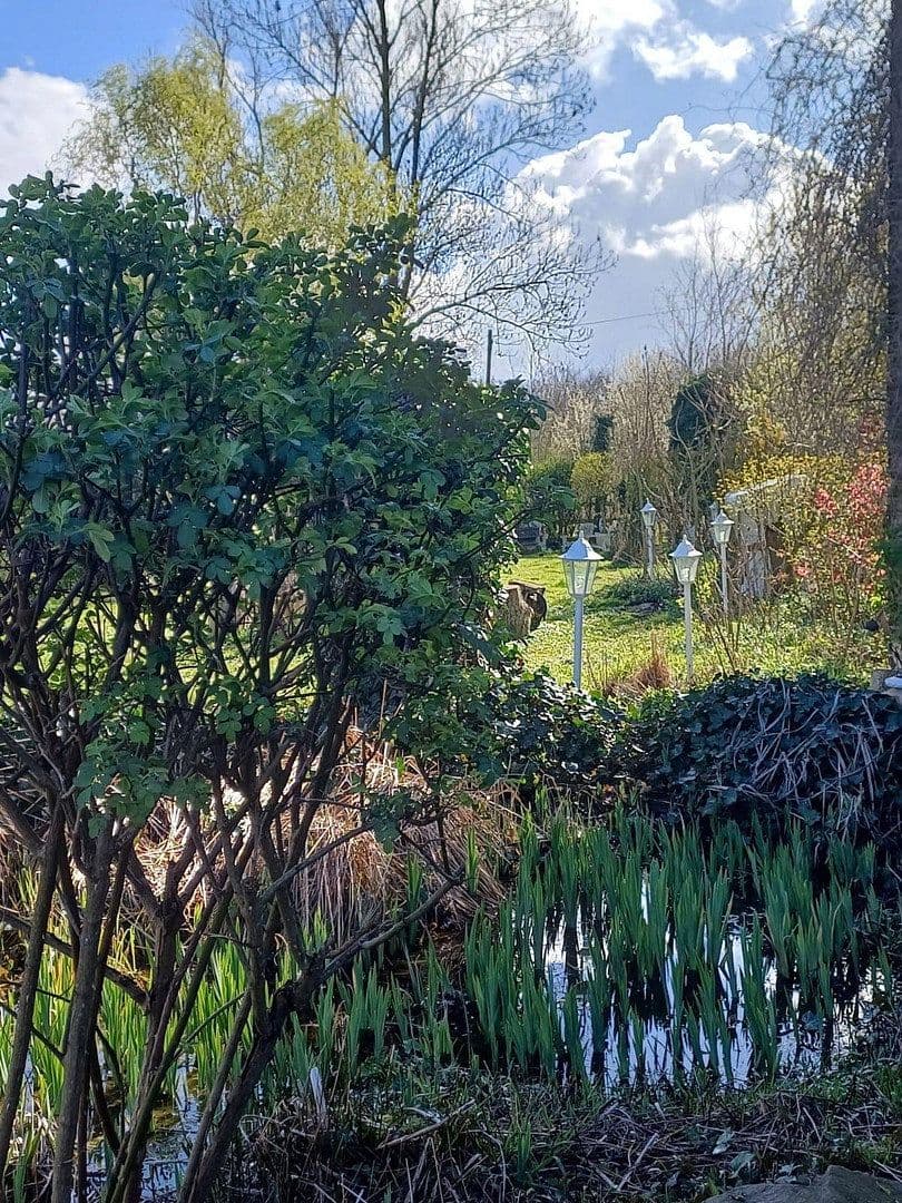 Prodej domu 390 m², pozemek 40.000 m², Münster Wolbeck, Severní Porýní-Vestfálsko Prodej domu 390 m², pozemek 40.000 m², Münster Wolbeck, Severní Porýní-Vestfálsko