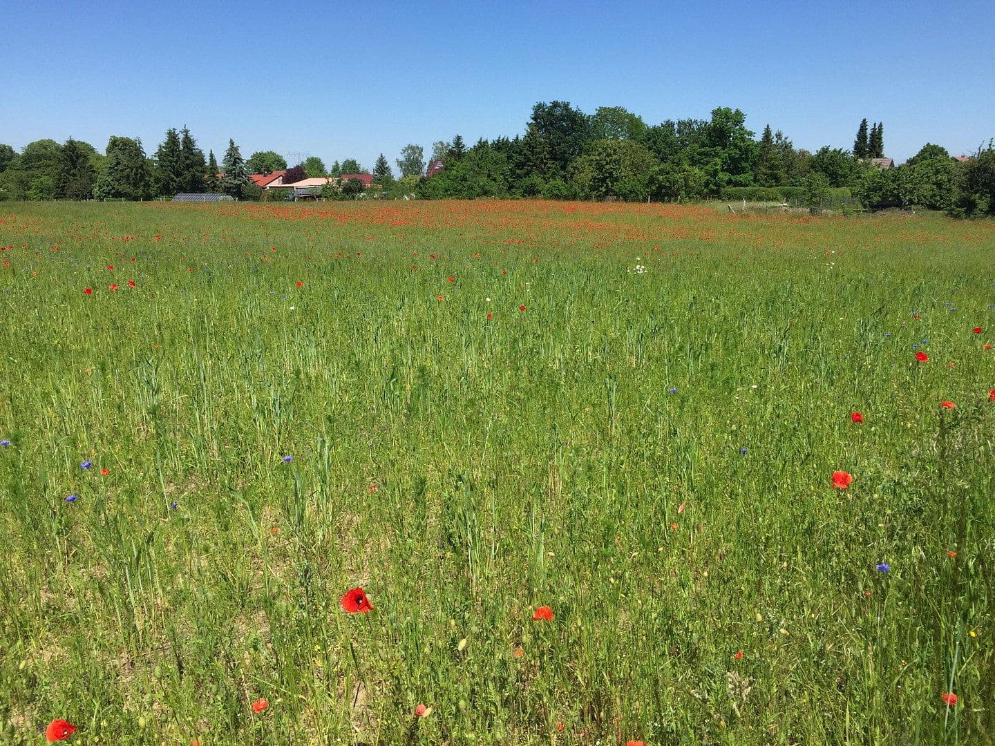 Prodej domu 275 m², pozemek 700 m², Templin, Braniborsko Prodej domu 275 m², pozemek 700 m², Templin, Braniborsko