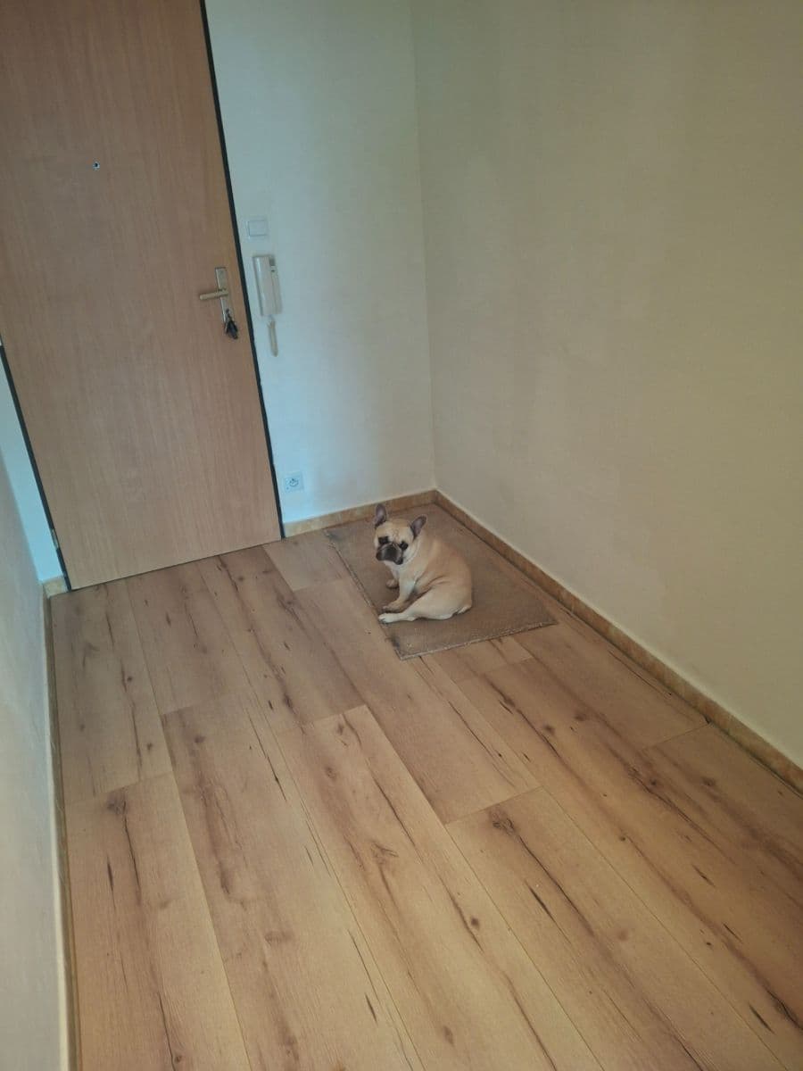 Pronájem bytu 2+kk 48 m², Werichova, Praha, Praha Pronájem bytu 2+kk 48 m², Werichova, Praha, Praha