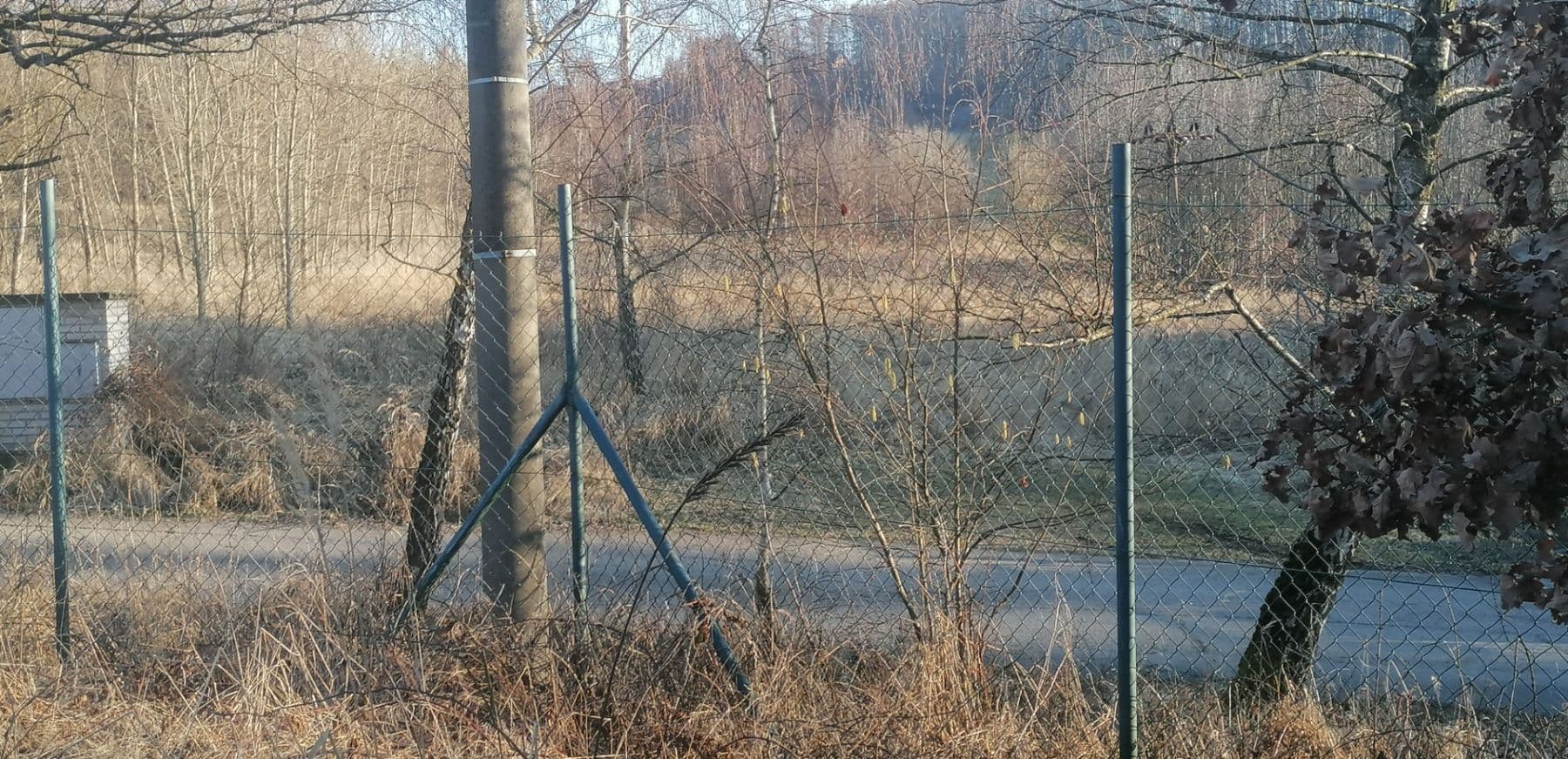 Prodej pozemku 1.769 m², Seč, Pardubický kraj Prodej pozemku 1.769 m², Seč, Pardubický kraj