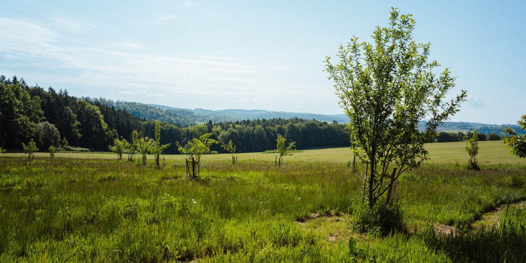 Prodej pozemku 126.783 m², Žirov, Kraj Vysočina Prodej pozemku 126.783 m², Žirov, Kraj Vysočina