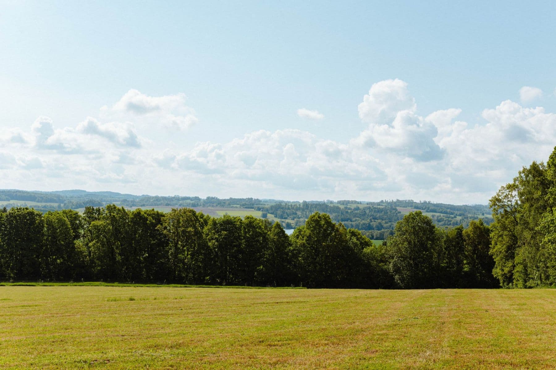 Prodej pozemku 126.783 m², Žirov, Kraj Vysočina Prodej pozemku 126.783 m², Žirov, Kraj Vysočina