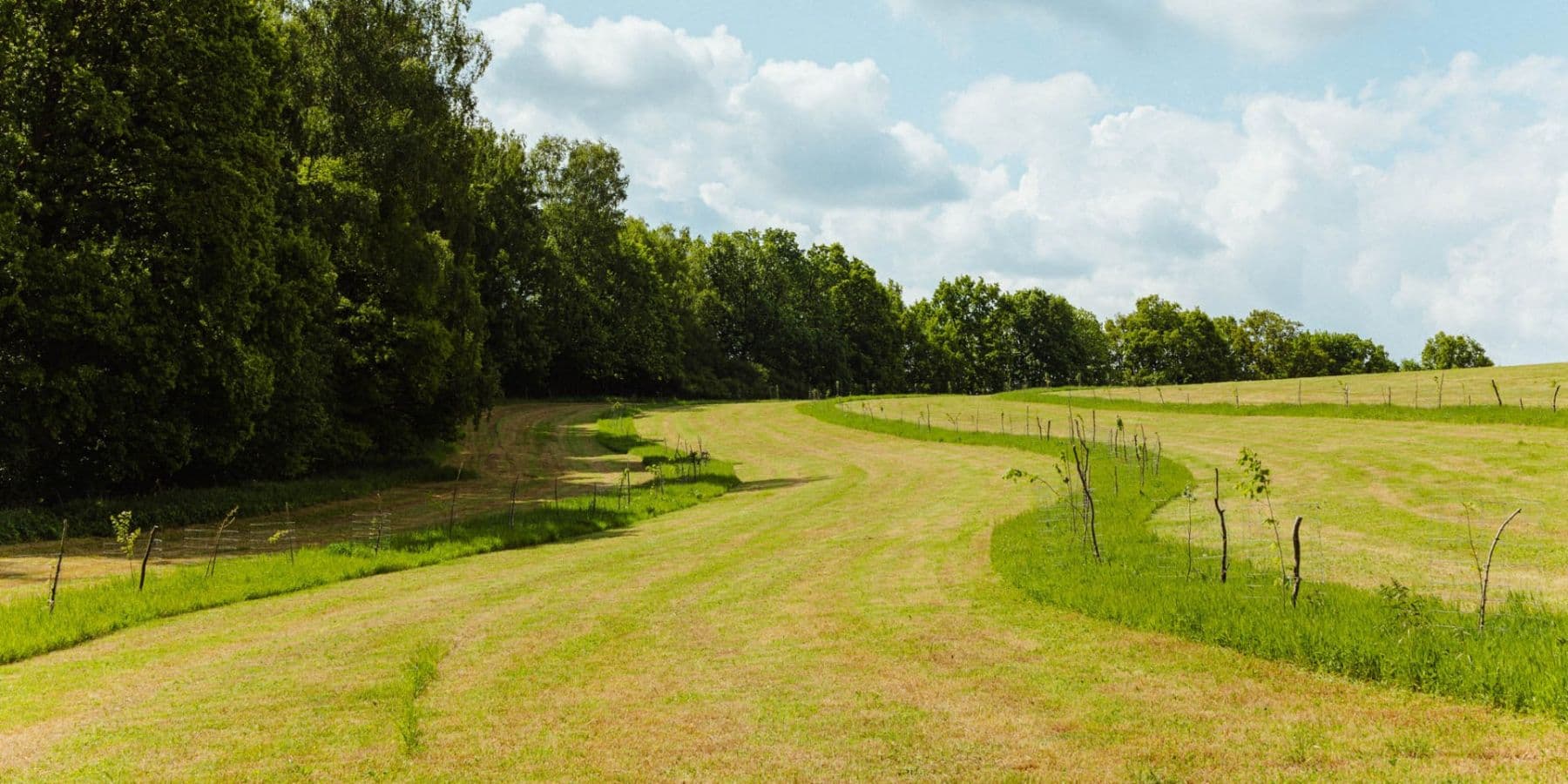 Prodej pozemku 126.783 m², Žirov, Kraj Vysočina Prodej pozemku 126.783 m², Žirov, Kraj Vysočina
