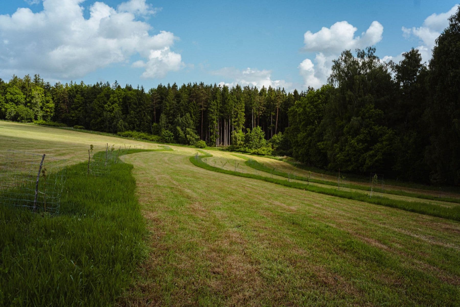 Prodej pozemku 126.783 m², Žirov, Kraj Vysočina Prodej pozemku 126.783 m², Žirov, Kraj Vysočina