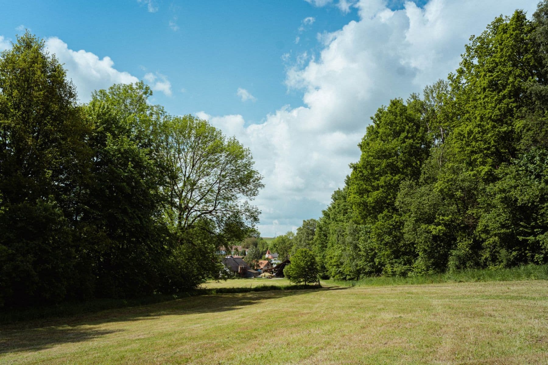 Prodej pozemku 126.783 m², Žirov, Kraj Vysočina Prodej pozemku 126.783 m², Žirov, Kraj Vysočina