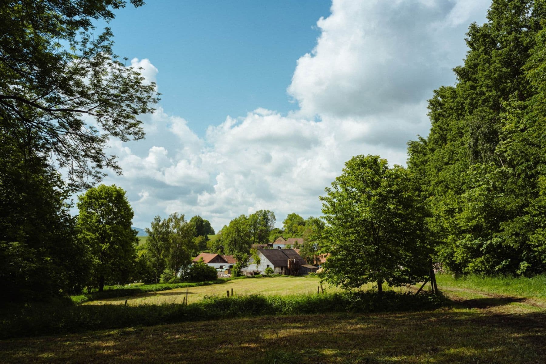 Prodej pozemku 126.783 m², Žirov, Kraj Vysočina Prodej pozemku 126.783 m², Žirov, Kraj Vysočina