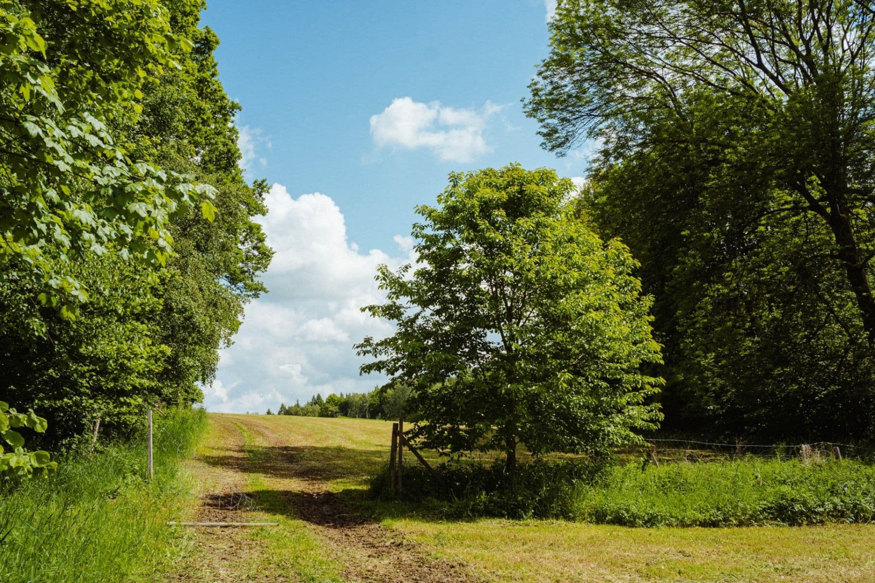 Prodej pozemku 126.783 m², Žirov, Kraj Vysočina Prodej pozemku 126.783 m², Žirov, Kraj Vysočina