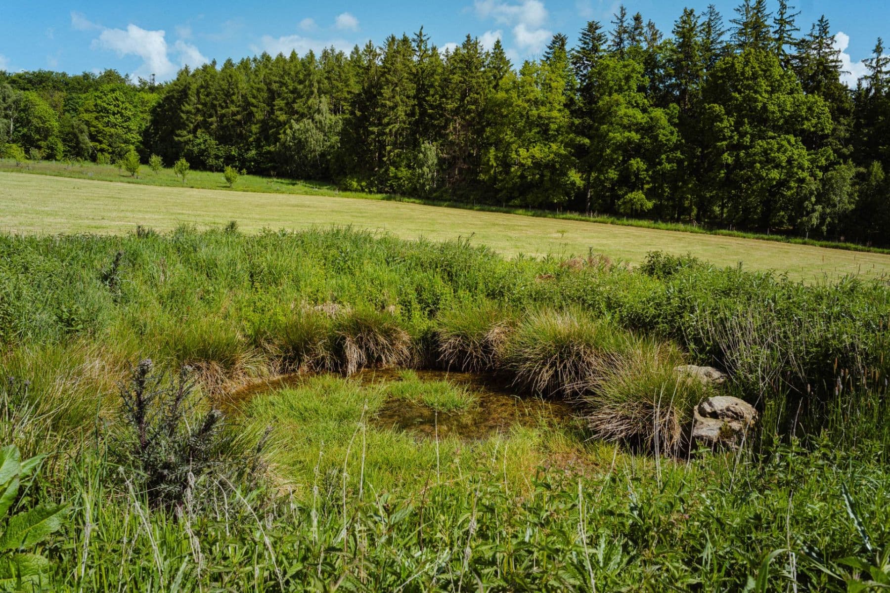Prodej pozemku 126.783 m², Žirov, Kraj Vysočina Prodej pozemku 126.783 m², Žirov, Kraj Vysočina