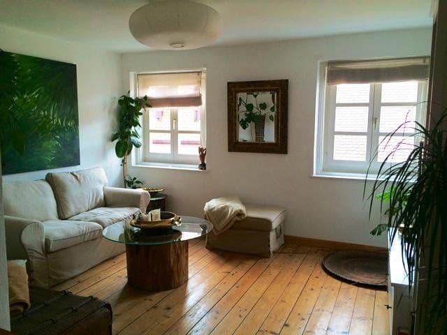 Prodej domu 202 m², pozemek 120 m², Herrngasse 370, Landshut, Bavorsko Prodej domu 202 m², pozemek 120 m², Herrngasse 370, Landshut, Bavorsko