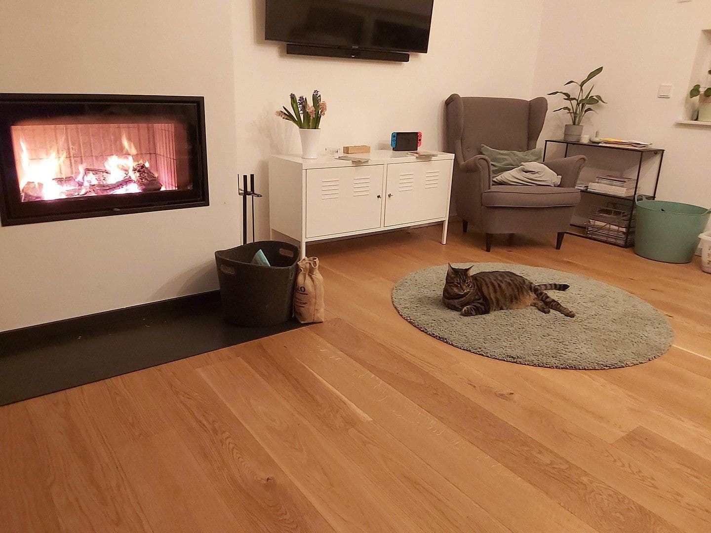 Prodej domu 154 m², pozemek 4.670 m², Uckerfelde, Braniborsko Prodej domu 154 m², pozemek 4.670 m², Uckerfelde, Braniborsko