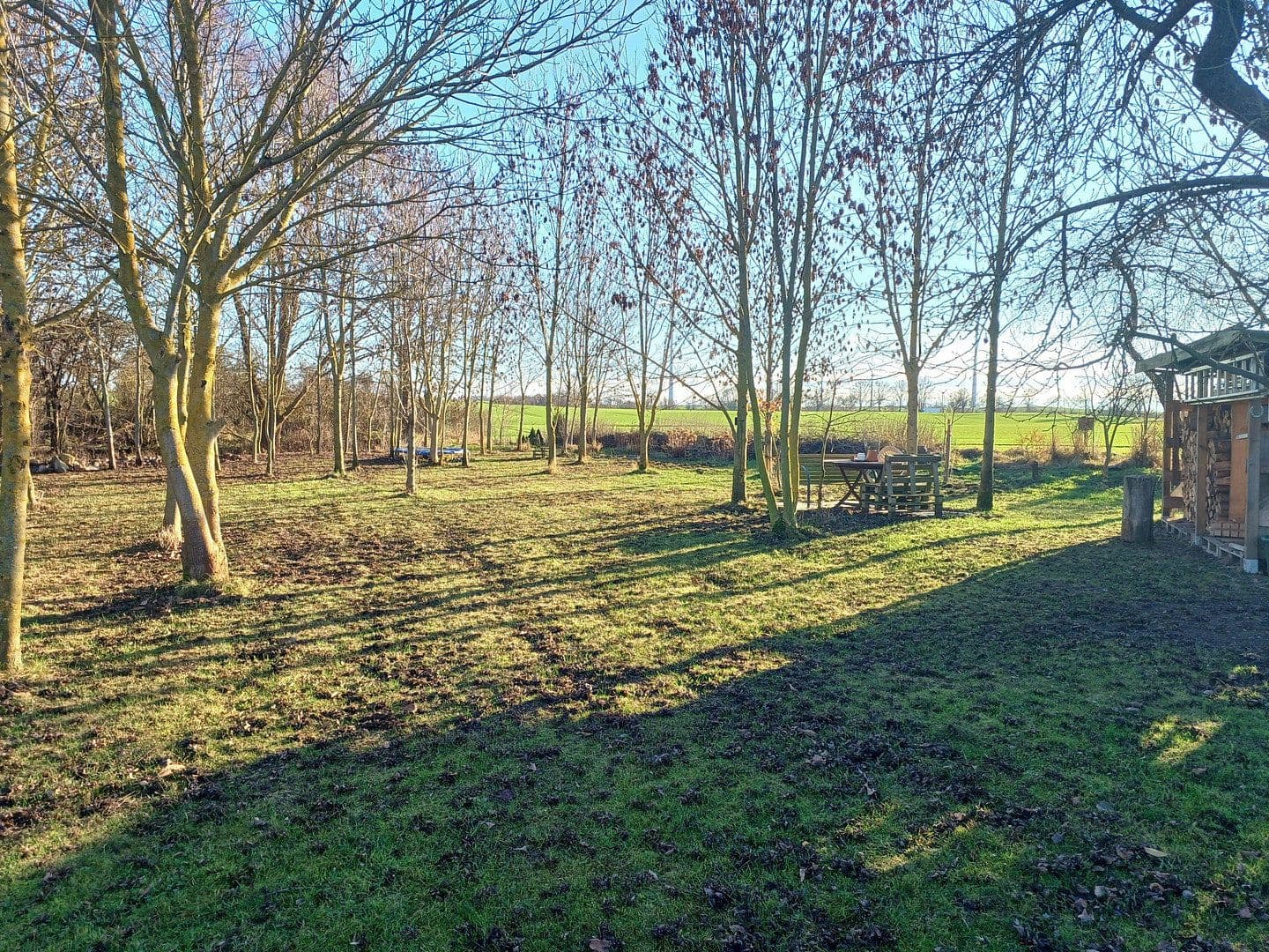 Prodej domu 154 m², pozemek 4.670 m², Uckerfelde, Braniborsko Prodej domu 154 m², pozemek 4.670 m², Uckerfelde, Braniborsko