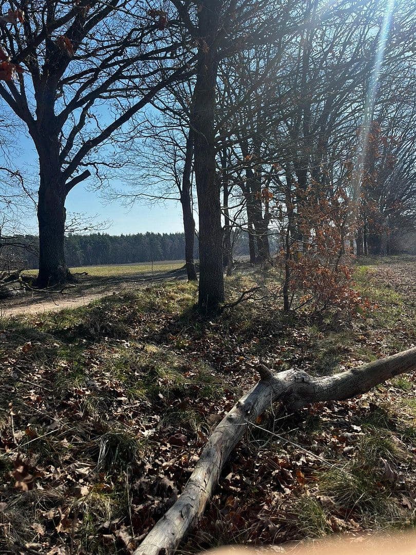 Prodej domu 120 m², pozemek 384 m², Lüneburg, Dolní Sasko Prodej domu 120 m², pozemek 384 m², Lüneburg, Dolní Sasko