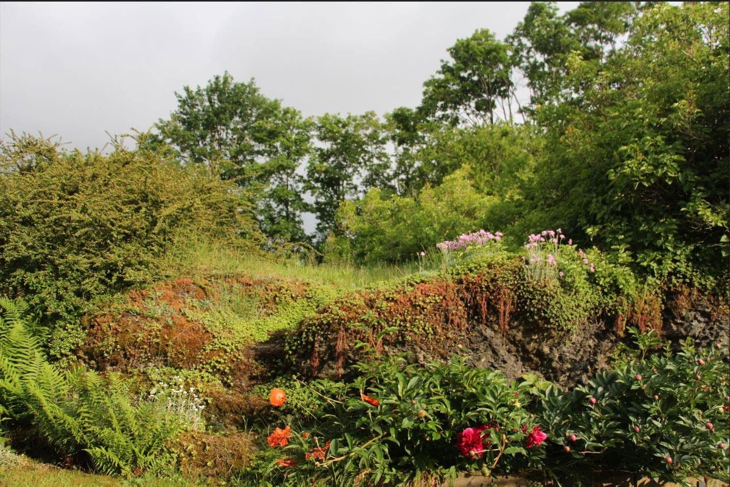 Prodej domu 111 m², pozemek 1.842 m², Selbitz, Bavorsko Prodej domu 111 m², pozemek 1.842 m², Selbitz, Bavorsko