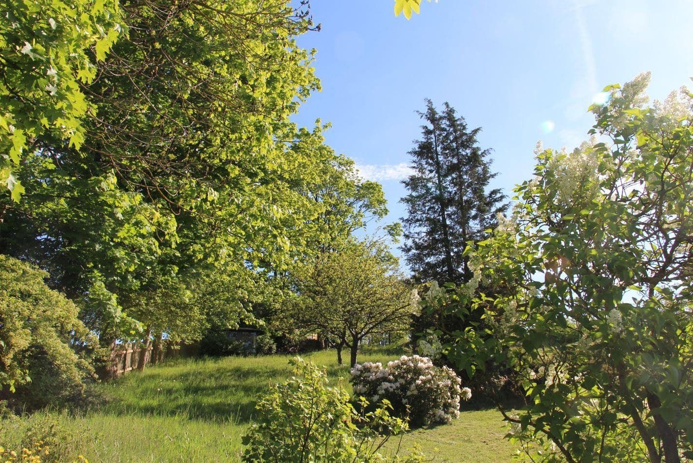 Prodej domu 111 m², pozemek 1.842 m², Selbitz, Bavorsko Prodej domu 111 m², pozemek 1.842 m², Selbitz, Bavorsko