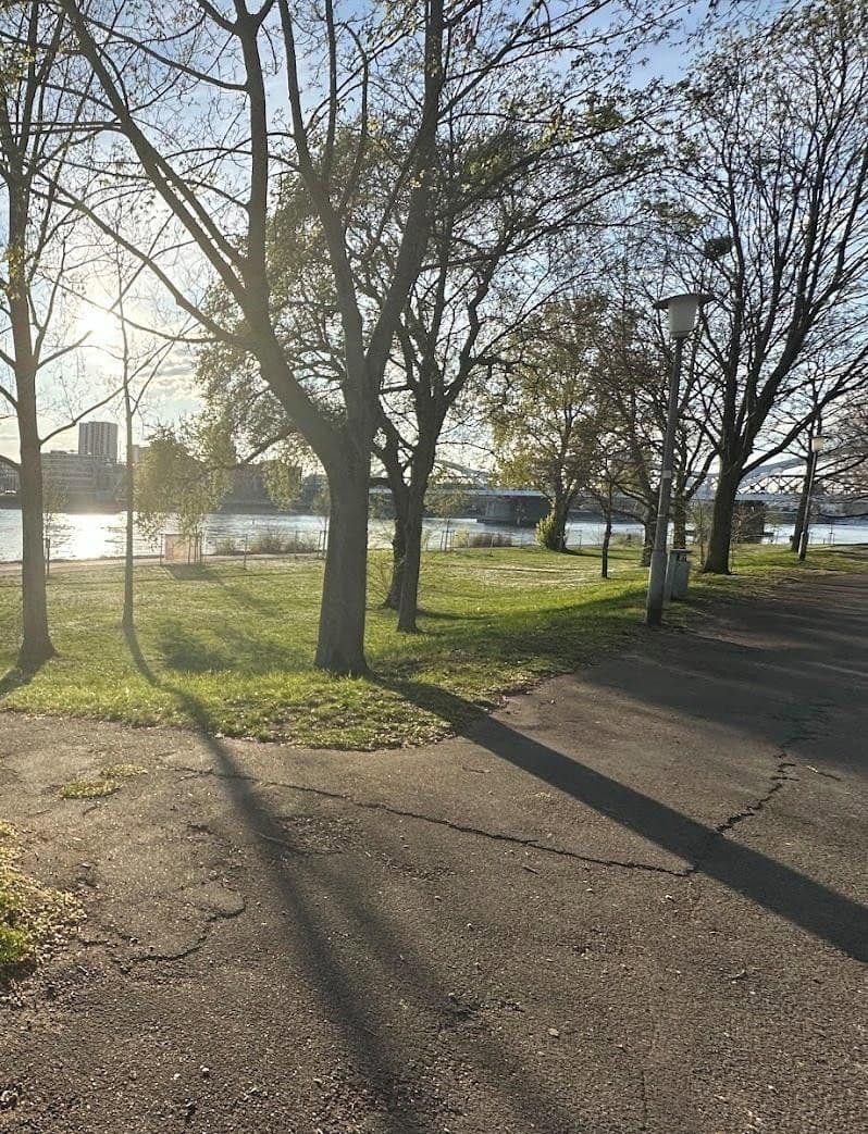 Prodej bytu 3+1 82 m², Mannheim, Bádensko-Württembersko Prodej bytu 3+1 82 m², Mannheim, Bádensko-Württembersko