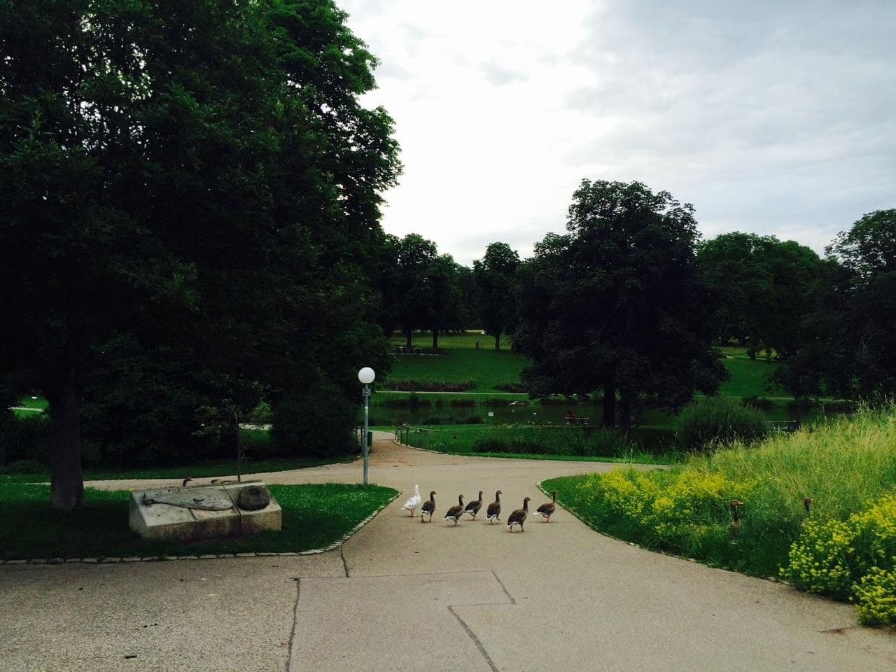 Pronájem bytu 3+kk 85 m², Stuttgart, Bádensko-Württembersko Pronájem bytu 3+kk 85 m², Stuttgart, Bádensko-Württembersko