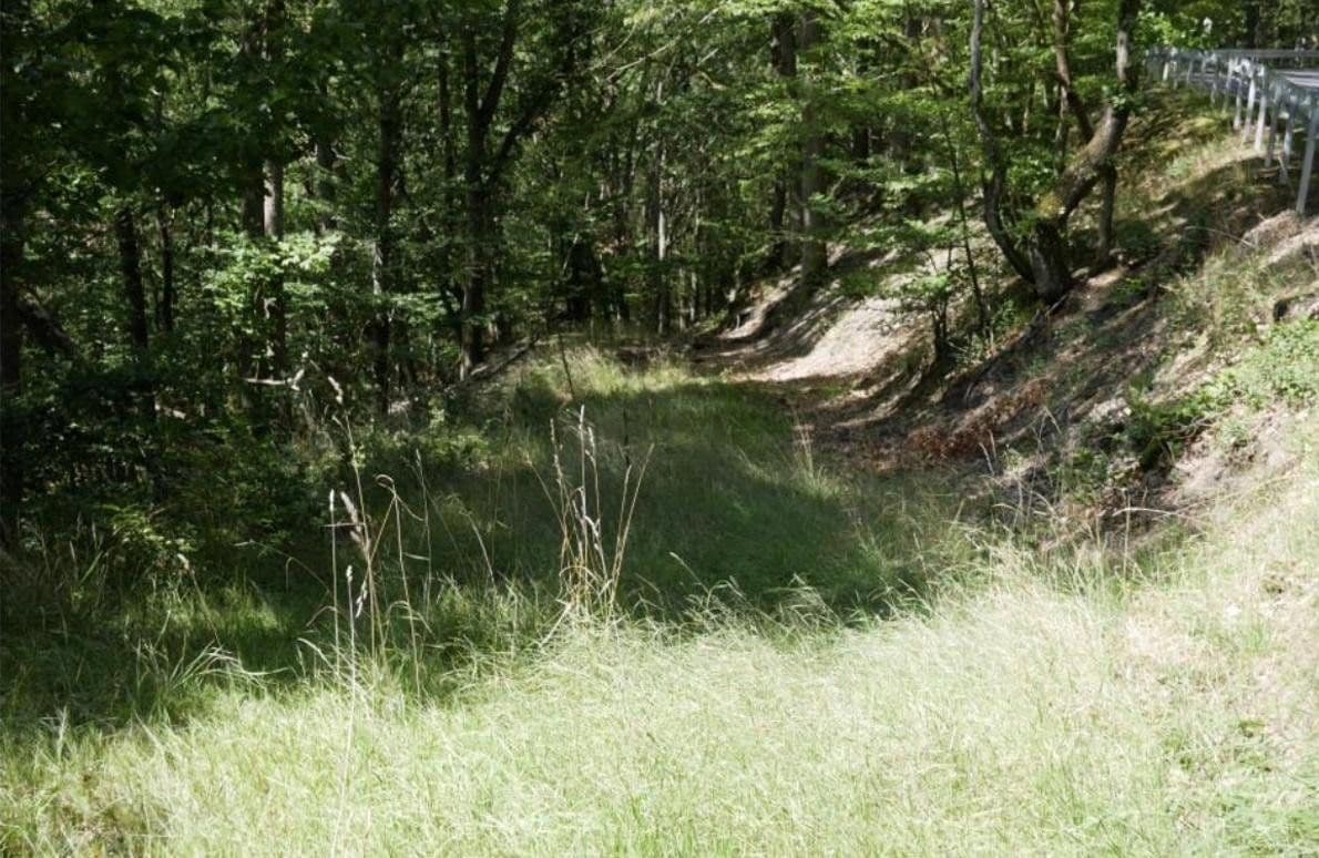 Prodej pozemku 789 m², Brunnenstraße 13, Weidenbach, Porýní-Falc Prodej pozemku 789 m², Brunnenstraße 13, Weidenbach, Porýní-Falc