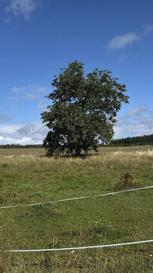 Prodej pozemku 789 m², Brunnenstraße 13, Weidenbach, Porýní-Falc Prodej pozemku 789 m², Brunnenstraße 13, Weidenbach, Porýní-Falc