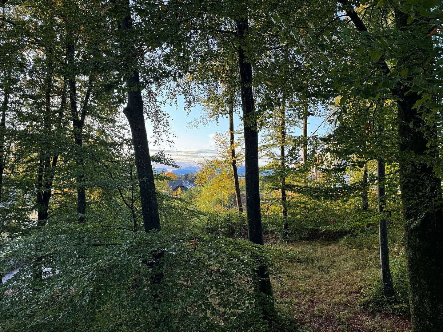 Pronájem bytu 2+1 57 m², Bürmoos, Salcbursko Pronájem bytu 2+1 57 m², Bürmoos, Salcbursko