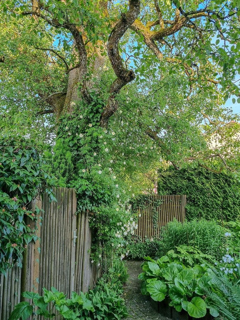 Prodej domu 215 m², pozemek 697 m², Böhmenkirch, Bádensko-Württembersko Prodej domu 215 m², pozemek 697 m², Böhmenkirch, Bádensko-Württembersko