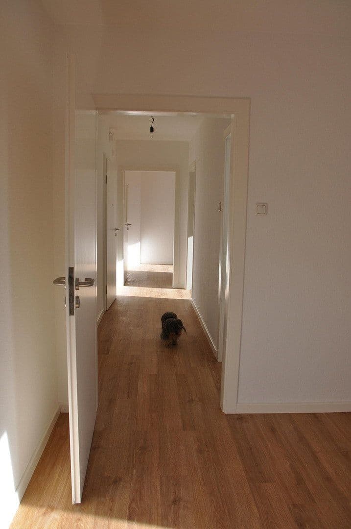 Pronájem bytu 2+1 41 m², Essen, Severní Porýní-Vestfálsko Pronájem bytu 2+1 41 m², Essen, Severní Porýní-Vestfálsko