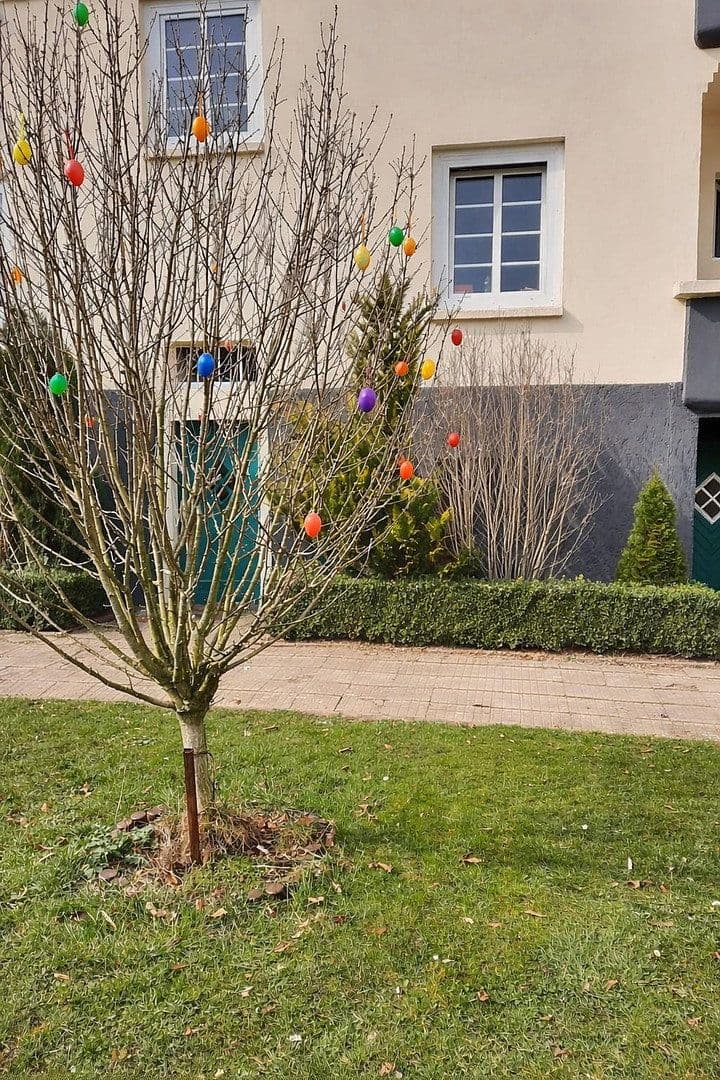 Pronájem bytu 4+1 96 m², Westring 31, Magdeburg, Sasko-Anhaltsko Pronájem bytu 4+1 96 m², Westring 31, Magdeburg, Sasko-Anhaltsko