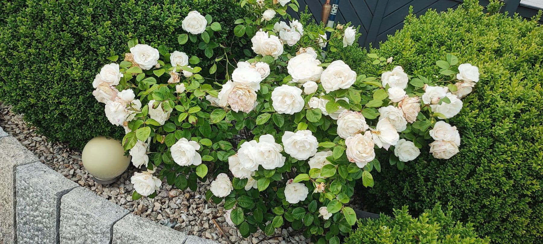 Prodej domu 340 m², pozemek 1.040 m², Schönberg (Holstein), Šlesvicko-Holštýnsko Prodej domu 340 m², pozemek 1.040 m², Schönberg (Holstein), Šlesvicko-Holštýnsko