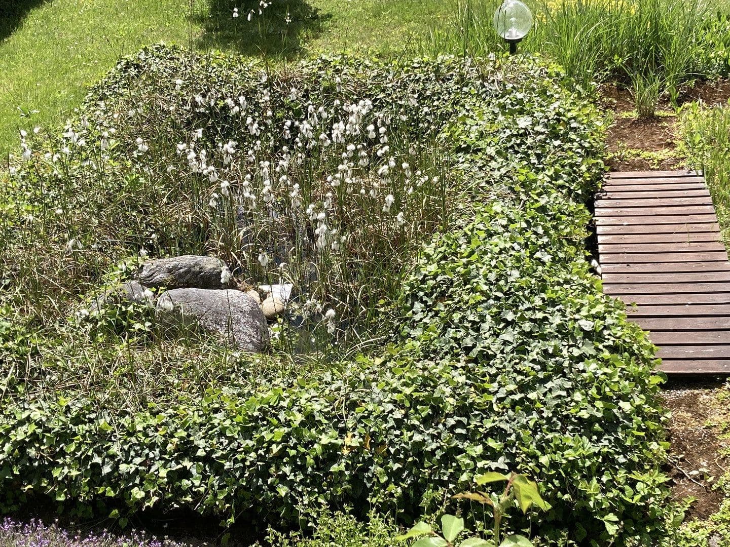 Prodej domu 196 m², pozemek 600 m², Erkenbrechtsweiler, Bádensko-Württembersko Prodej domu 196 m², pozemek 600 m², Erkenbrechtsweiler, Bádensko-Württembersko