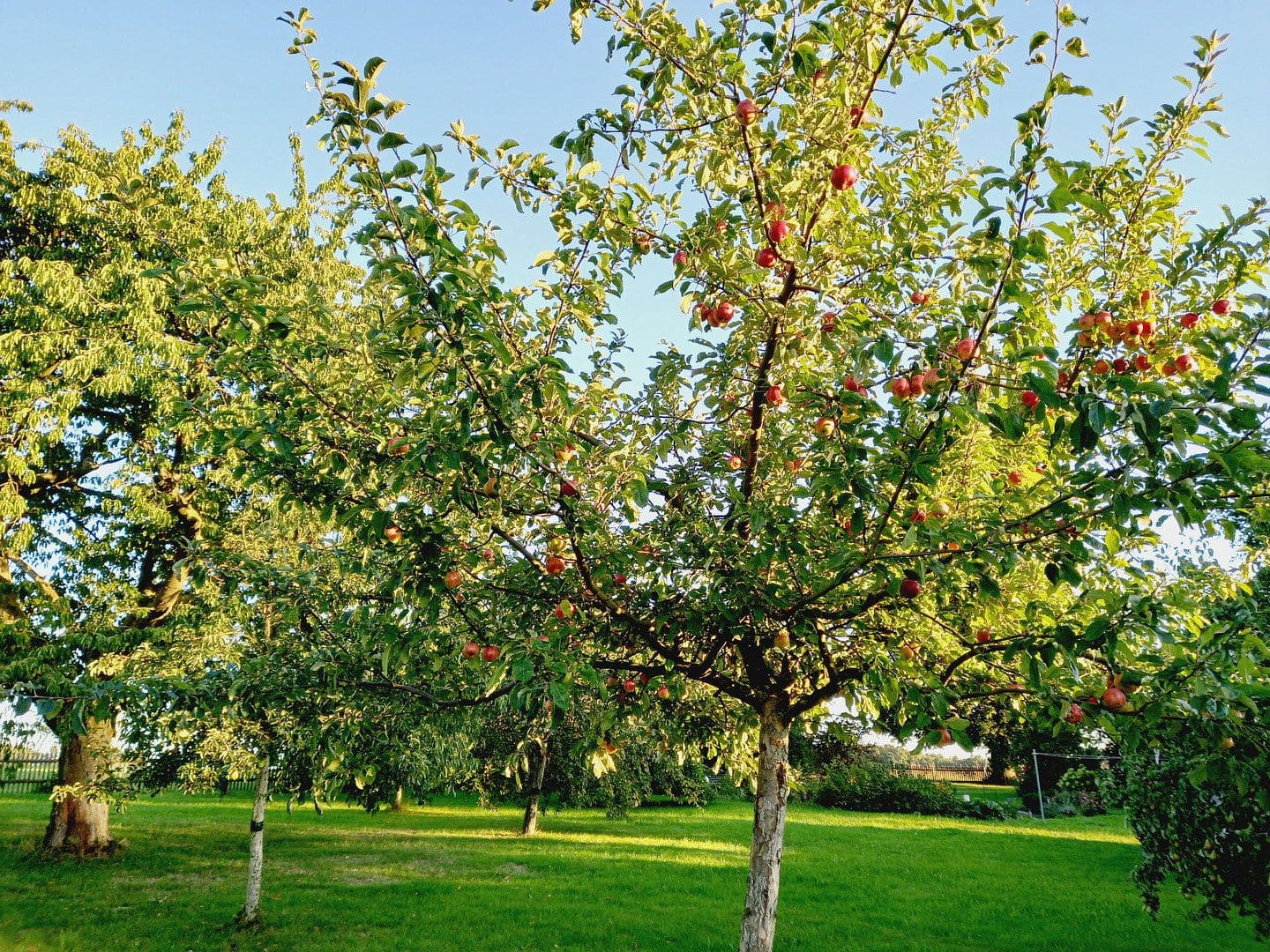 Prodej domu 329 m², pozemek 2.867 m², St. Egidien, Sasko Prodej domu 329 m², pozemek 2.867 m², St. Egidien, Sasko