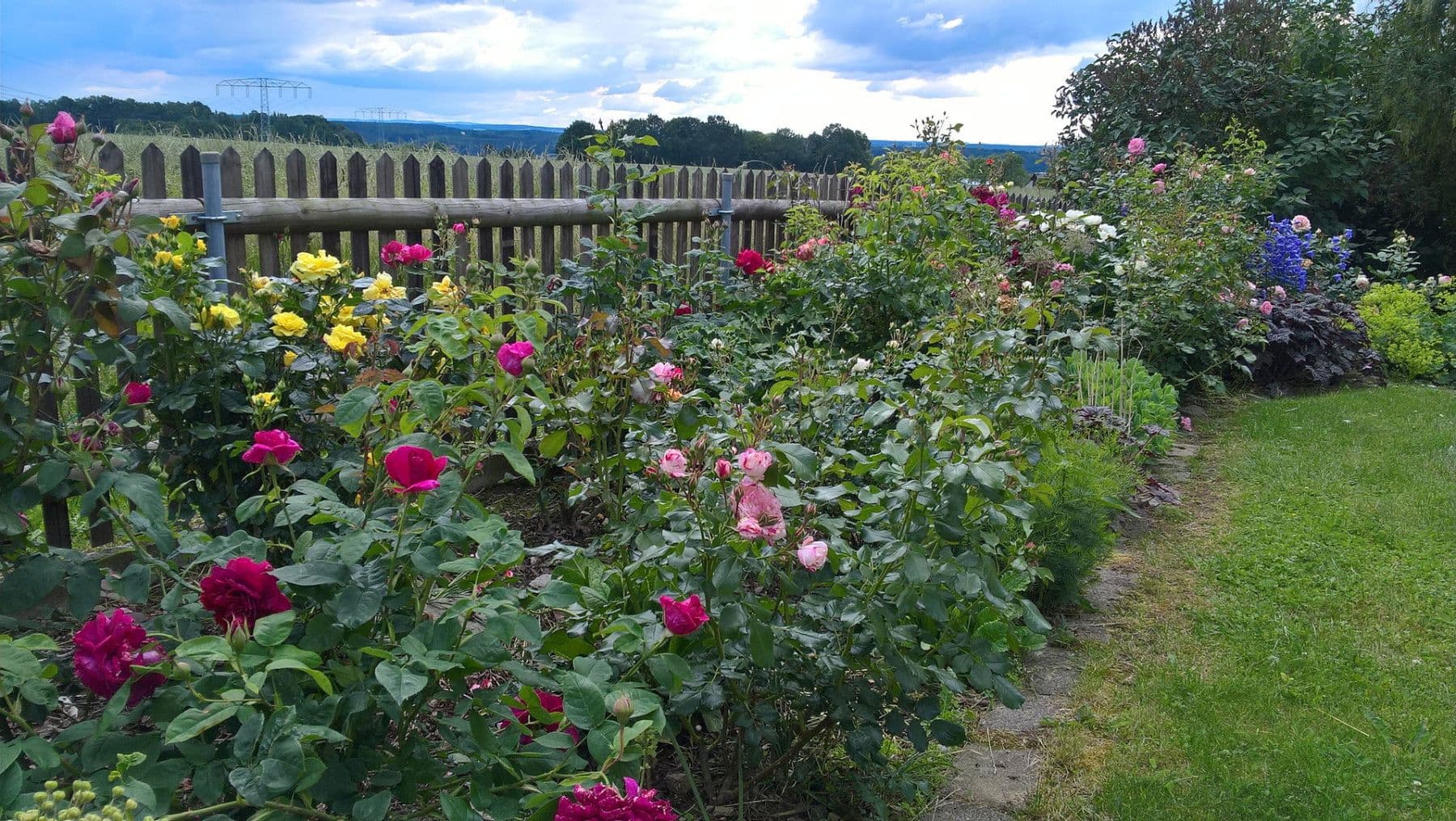 Prodej domu 329 m², pozemek 2.867 m², St. Egidien, Sasko Prodej domu 329 m², pozemek 2.867 m², St. Egidien, Sasko