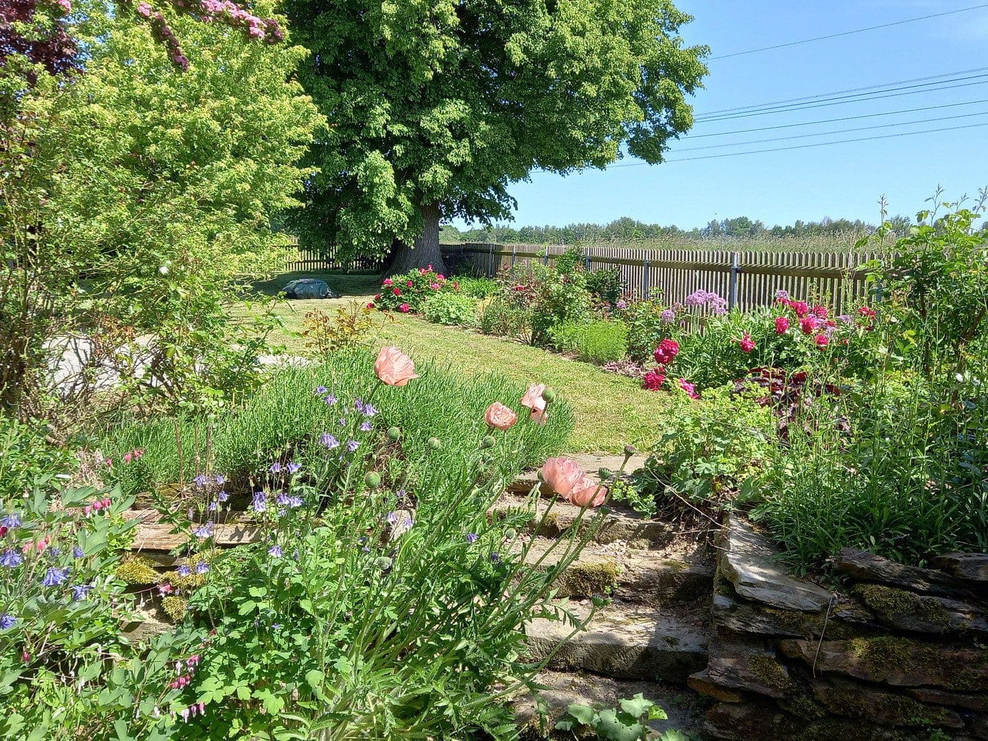 Prodej domu 329 m², pozemek 2.867 m², St. Egidien, Sasko Prodej domu 329 m², pozemek 2.867 m², St. Egidien, Sasko