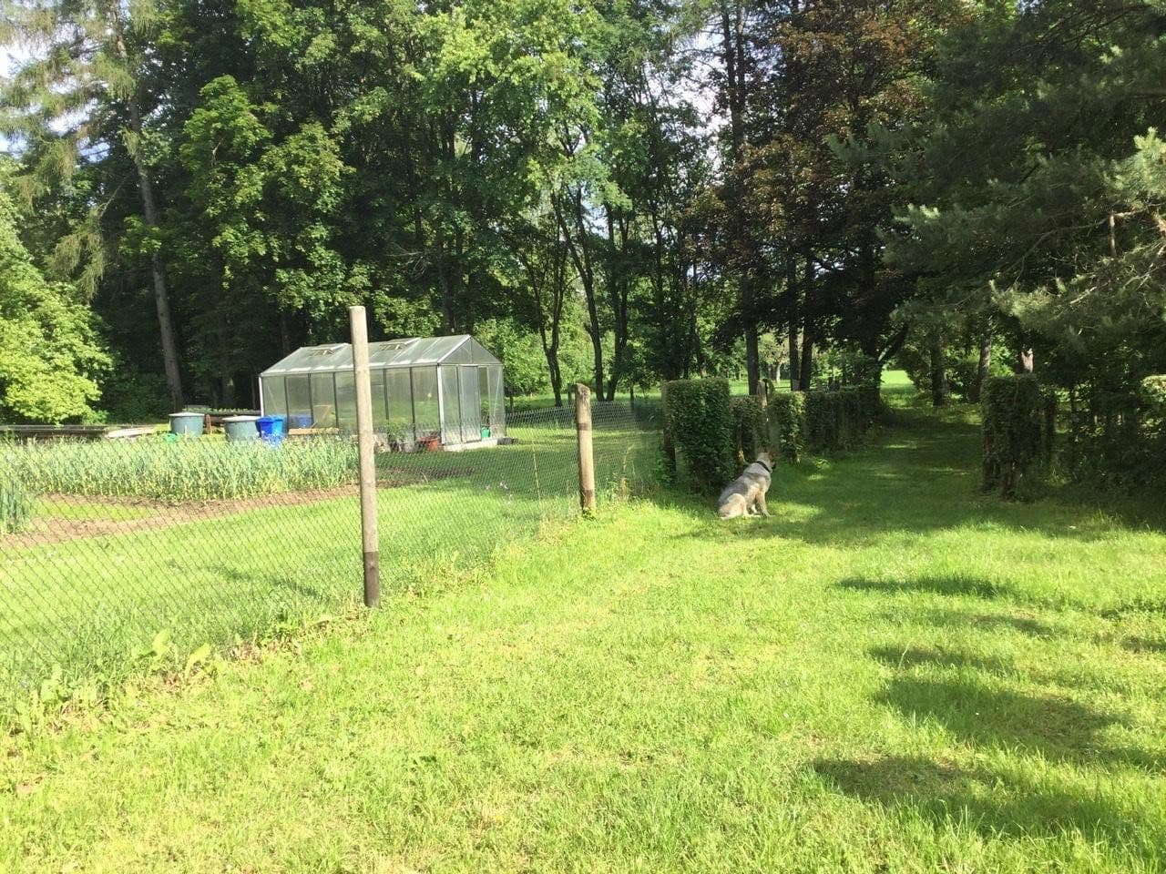 Prodej domu 400 m², pozemek 20.700 m², Gößweinstein, Bavorsko Prodej domu 400 m², pozemek 20.700 m², Gößweinstein, Bavorsko