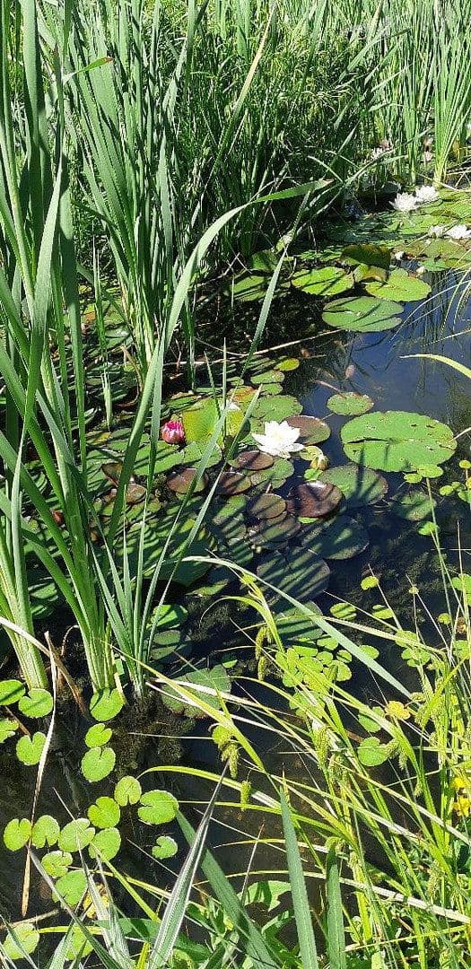 Prodej domu 400 m², pozemek 20.700 m², Gößweinstein, Bavorsko Prodej domu 400 m², pozemek 20.700 m², Gößweinstein, Bavorsko