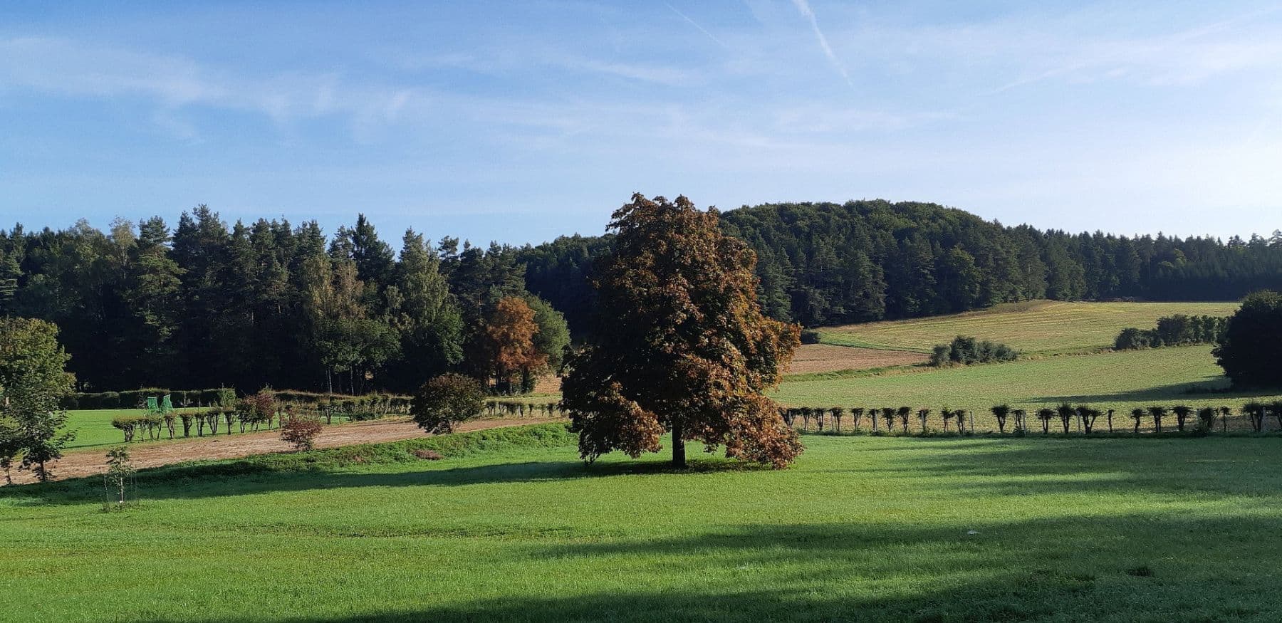 Prodej domu 400 m², pozemek 20.700 m², Gößweinstein, Bavorsko Prodej domu 400 m², pozemek 20.700 m², Gößweinstein, Bavorsko