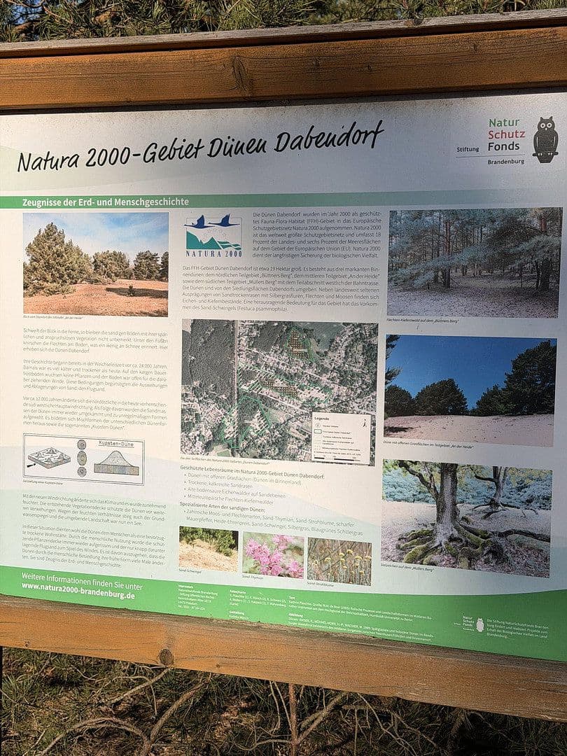 Prodej pozemku 1.088 m², An der Heide 31, Zossen, Braniborsko Prodej pozemku 1.088 m², An der Heide 31, Zossen, Braniborsko