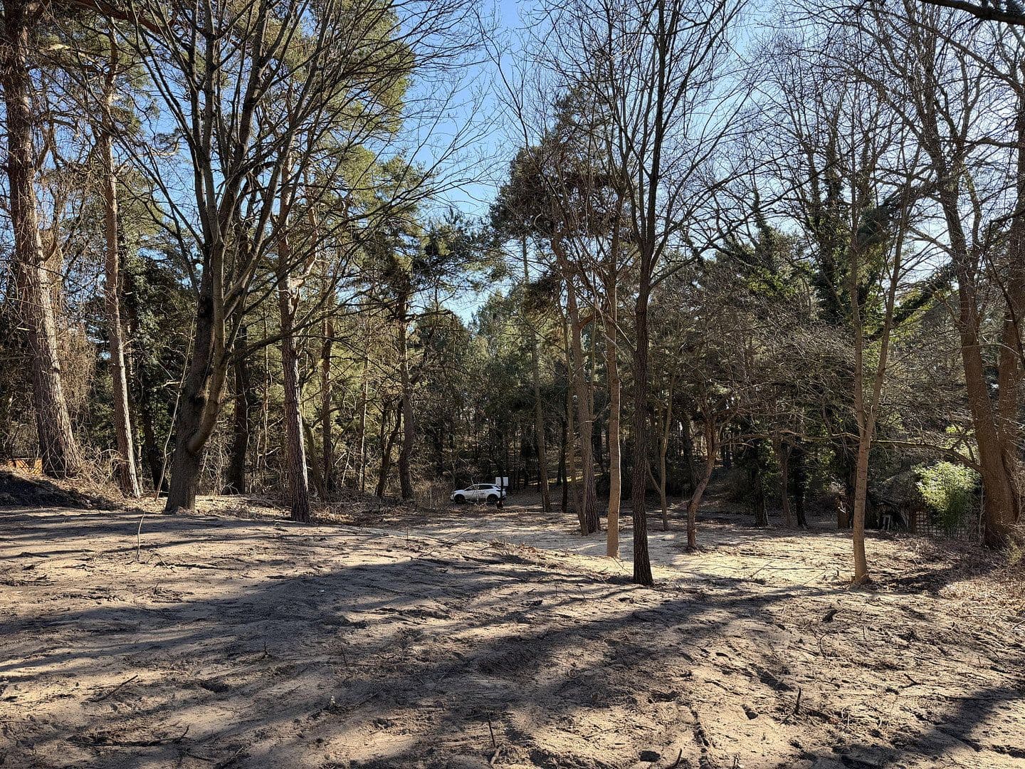 Prodej pozemku 1.088 m², An der Heide 31, Zossen, Braniborsko Prodej pozemku 1.088 m², An der Heide 31, Zossen, Braniborsko