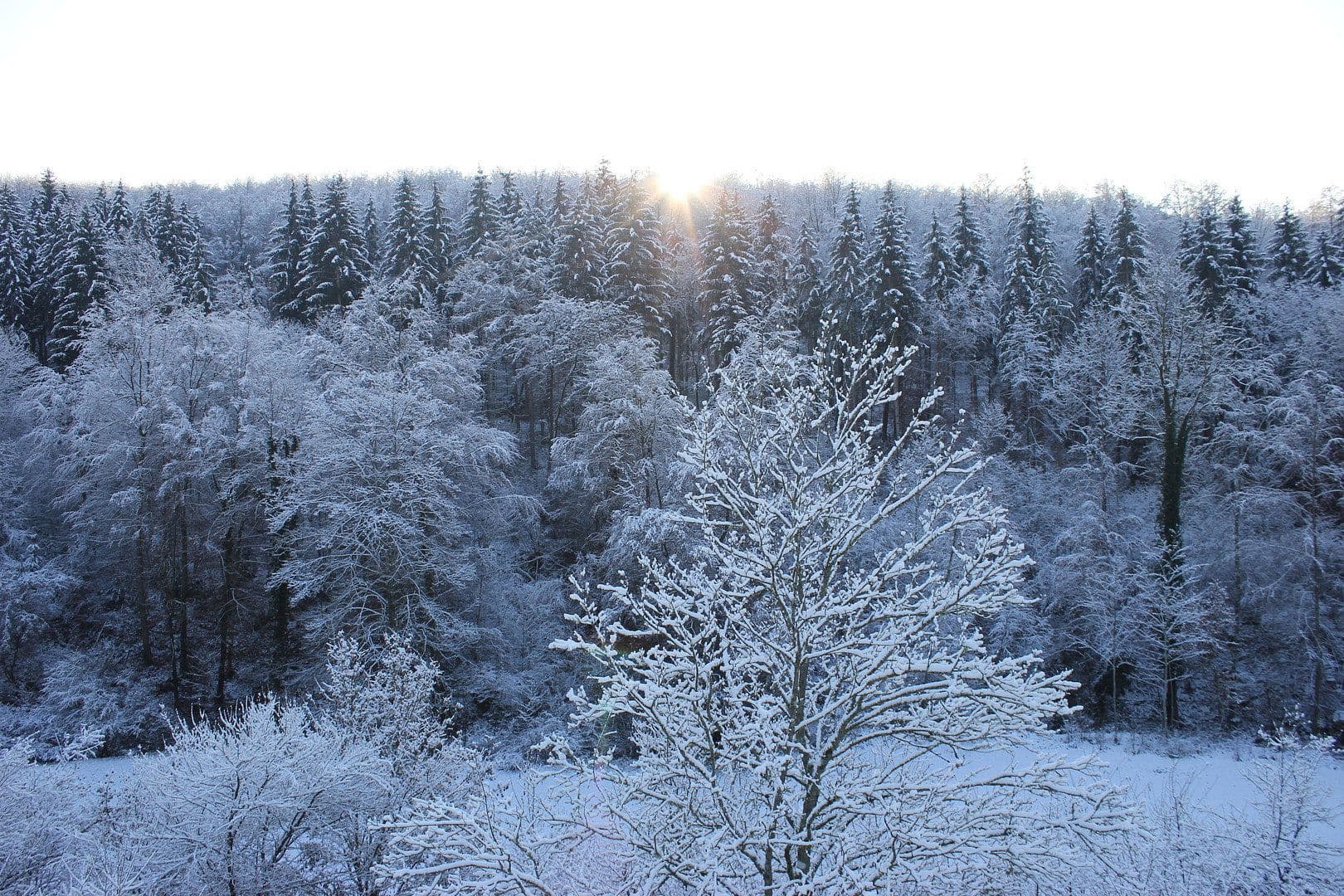 Pronájem bytu 2+1 45 m², Uhingen, Bádensko-Württembersko Pronájem bytu 2+1 45 m², Uhingen, Bádensko-Württembersko