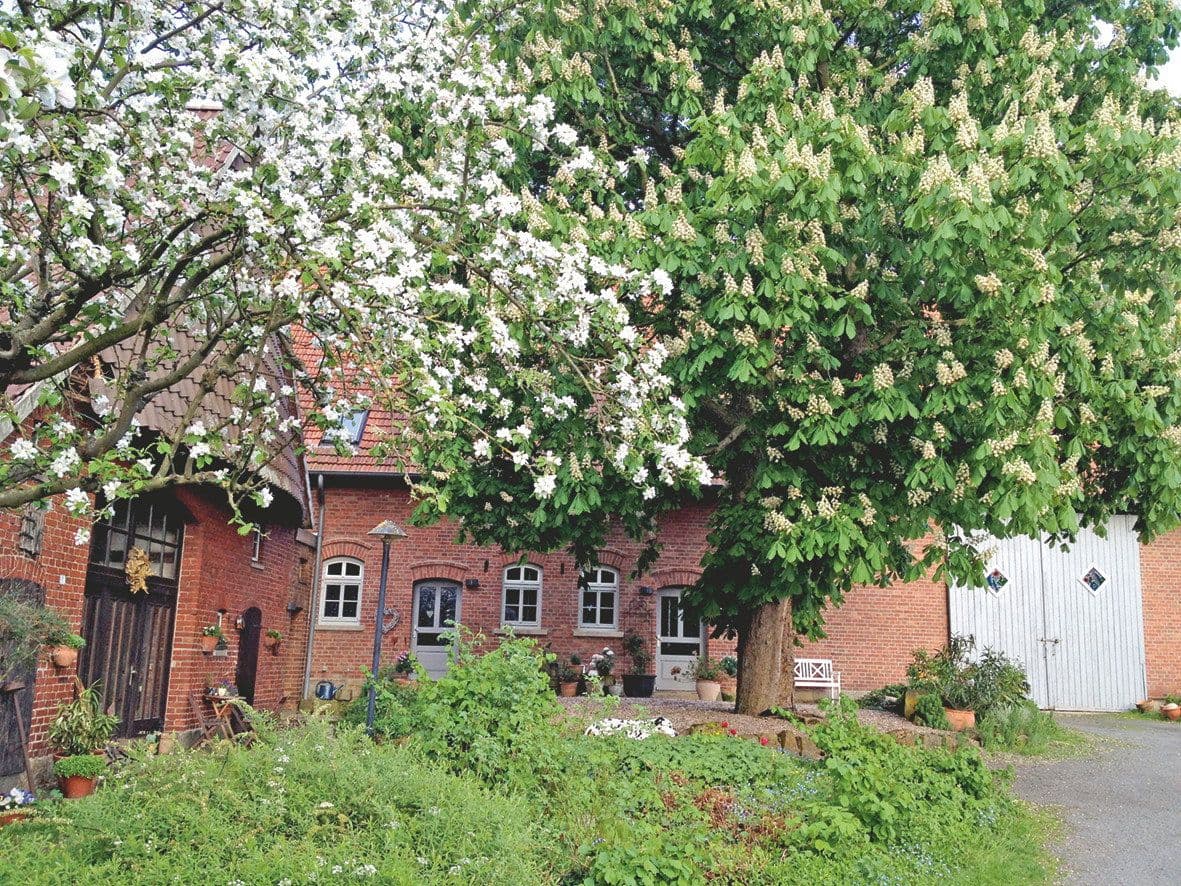 Pronájem bytu 2+1 90 m², Obernkirchen, Dolní Sasko Pronájem bytu 2+1 90 m², Obernkirchen, Dolní Sasko