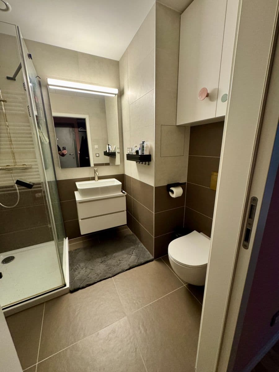 Pronájem bytu 2+kk 63 m², Na Farkáně Ⅰ, Praha, Praha Pronájem bytu 2+kk 63 m², Na Farkáně Ⅰ, Praha, Praha