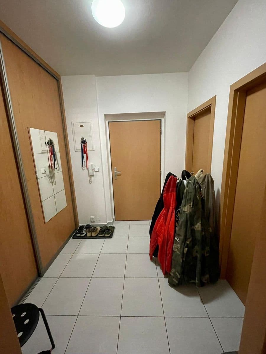 Pronájem bytu 1+kk 48 m², U Leskavy, Brno, Jihomoravský kraj Pronájem bytu 1+kk 48 m², U Leskavy, Brno, Jihomoravský kraj