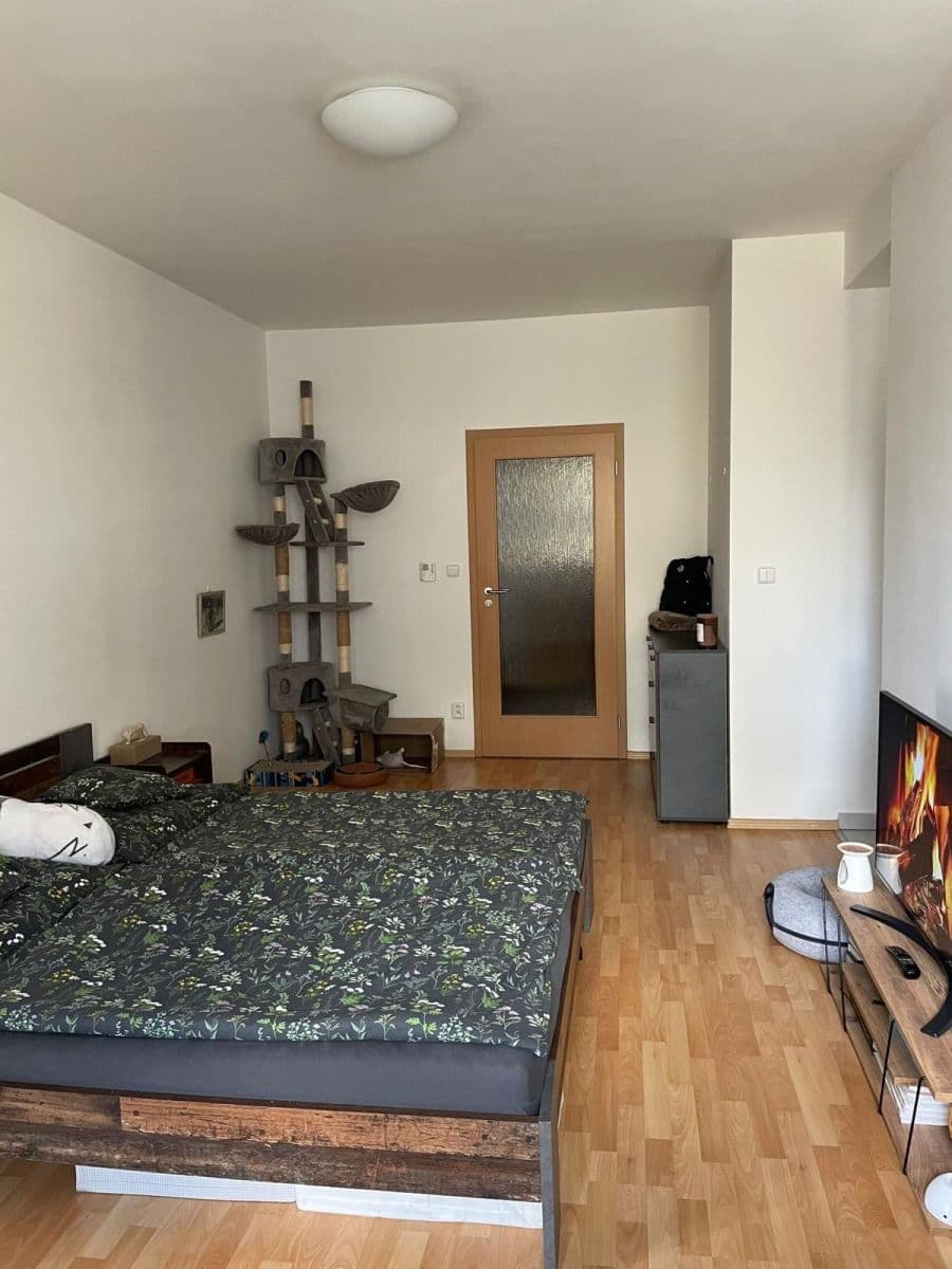 Pronájem bytu 1+kk 48 m², U Leskavy, Brno, Jihomoravský kraj Pronájem bytu 1+kk 48 m², U Leskavy, Brno, Jihomoravský kraj