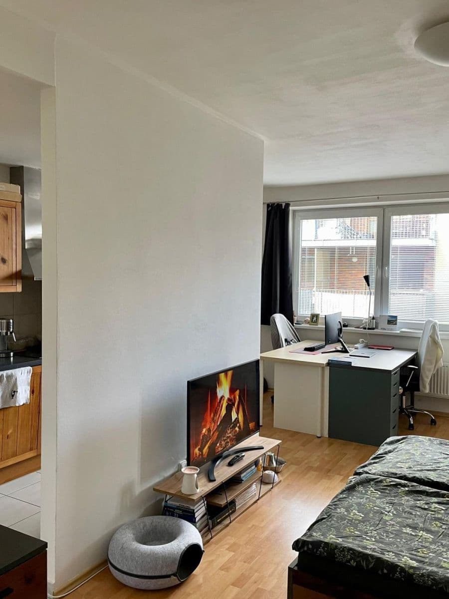 Pronájem bytu 1+kk 48 m², U Leskavy, Brno, Jihomoravský kraj Pronájem bytu 1+kk 48 m², U Leskavy, Brno, Jihomoravský kraj