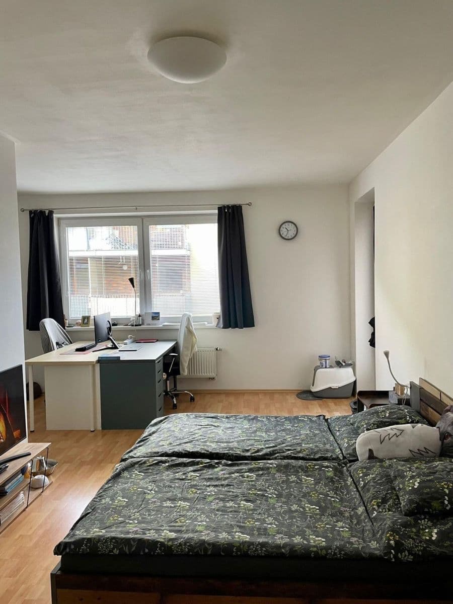 Pronájem bytu 1+kk 48 m², U Leskavy, Brno, Jihomoravský kraj Pronájem bytu 1+kk 48 m², U Leskavy, Brno, Jihomoravský kraj
