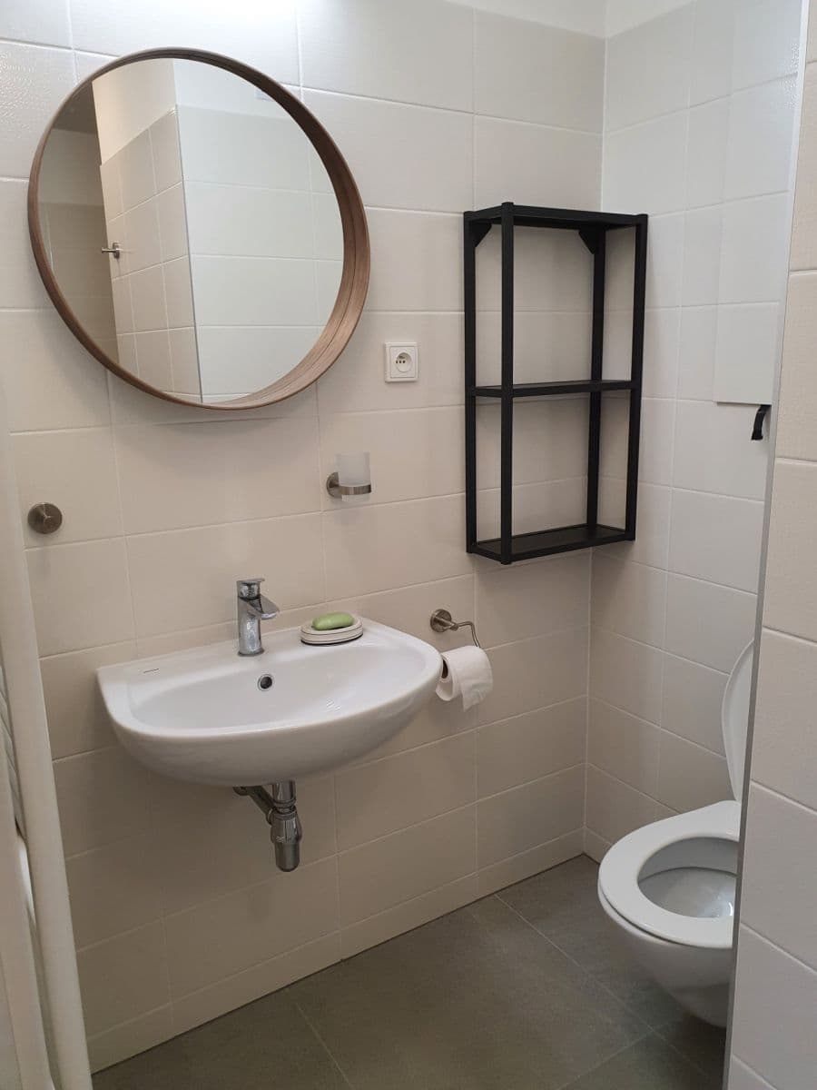 Pronájem bytu 2+kk 62 m², Nemocniční, Plzeň, Plzeňský kraj Pronájem bytu 2+kk 62 m², Nemocniční, Plzeň, Plzeňský kraj