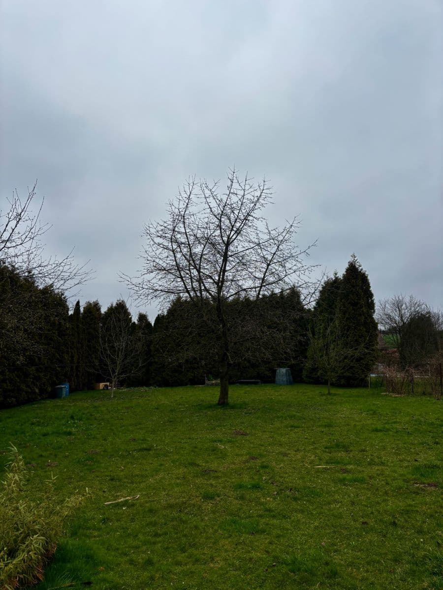 Prodej domu 80 m², pozemek 1.700 m², Bužkovská, Petřvald, Moravskoslezský kraj Prodej domu 80 m², pozemek 1.700 m², Bužkovská, Petřvald, Moravskoslezský kraj